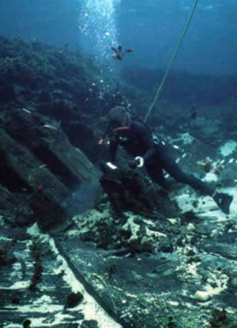 Diver at the Batavia ship wreck
